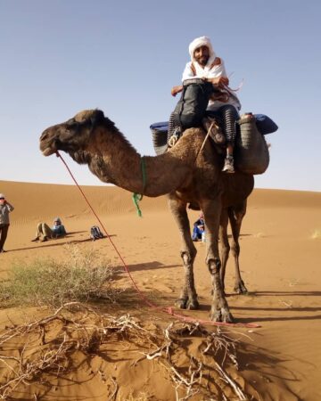 Camel Trekking in the Sahara